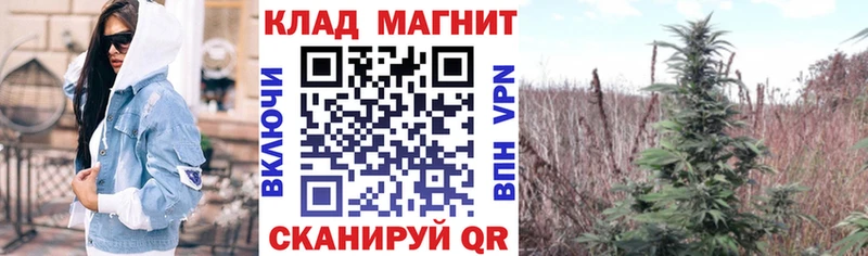 Наркотические вещества Пикалёво Гашиш  COCAIN  МЕФ  A-PVP  Конопля 
