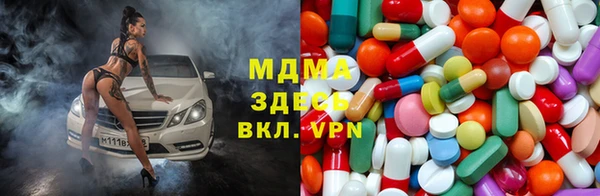 индика Алзамай