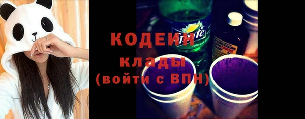 СК Гусь-Хрустальный