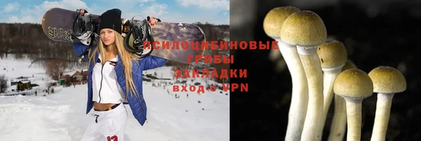 МДПВ Алексеевка