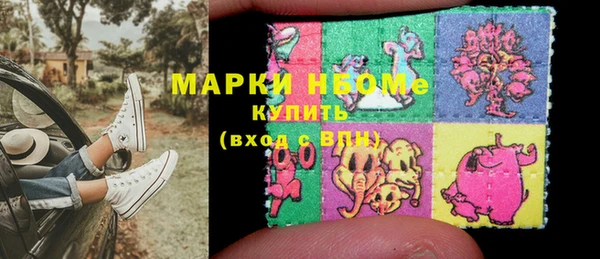 индика Алзамай