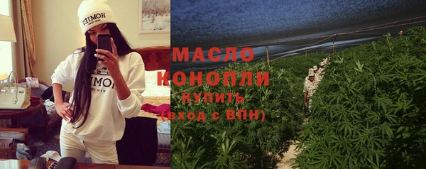 индика Алзамай