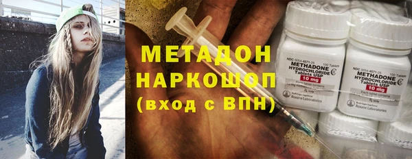 индика Алзамай