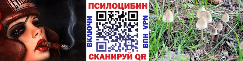 Галлюциногенные грибы Magic Shrooms  hydra ONION  Пикалёво 